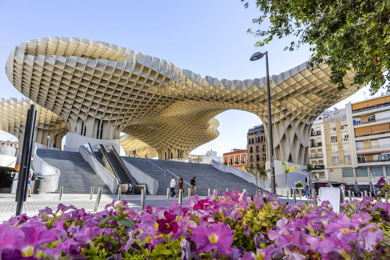 The Largest Wooden Structure in the World